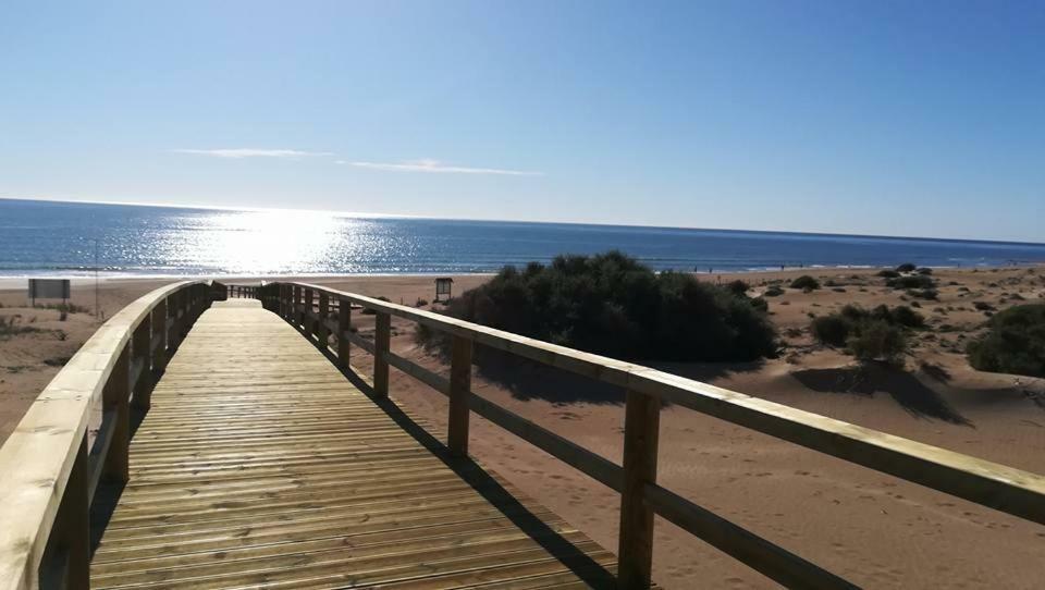 Apartamento Sol Mediterraneo Daire Guardamar del Segura Dış mekan fotoğraf